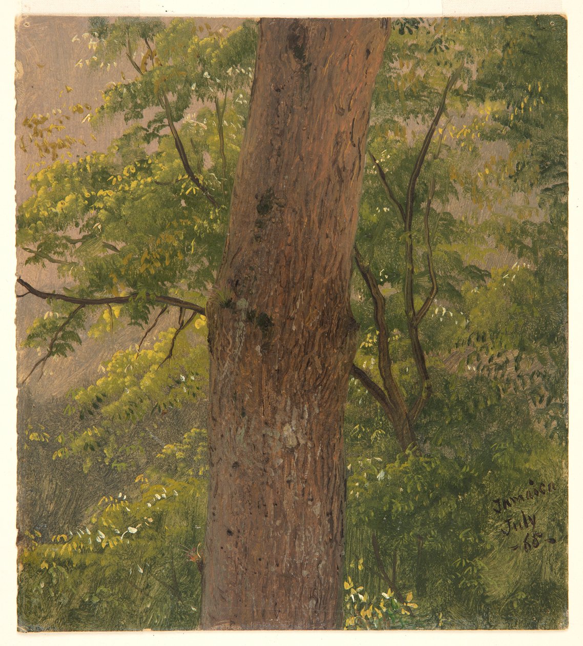Woodland Study, Jamaica af Frederic Edwin Church