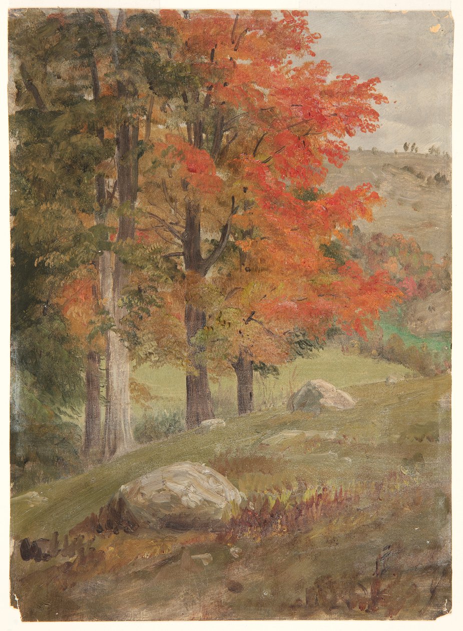 Skov om efteråret af Frederic Edwin Church
