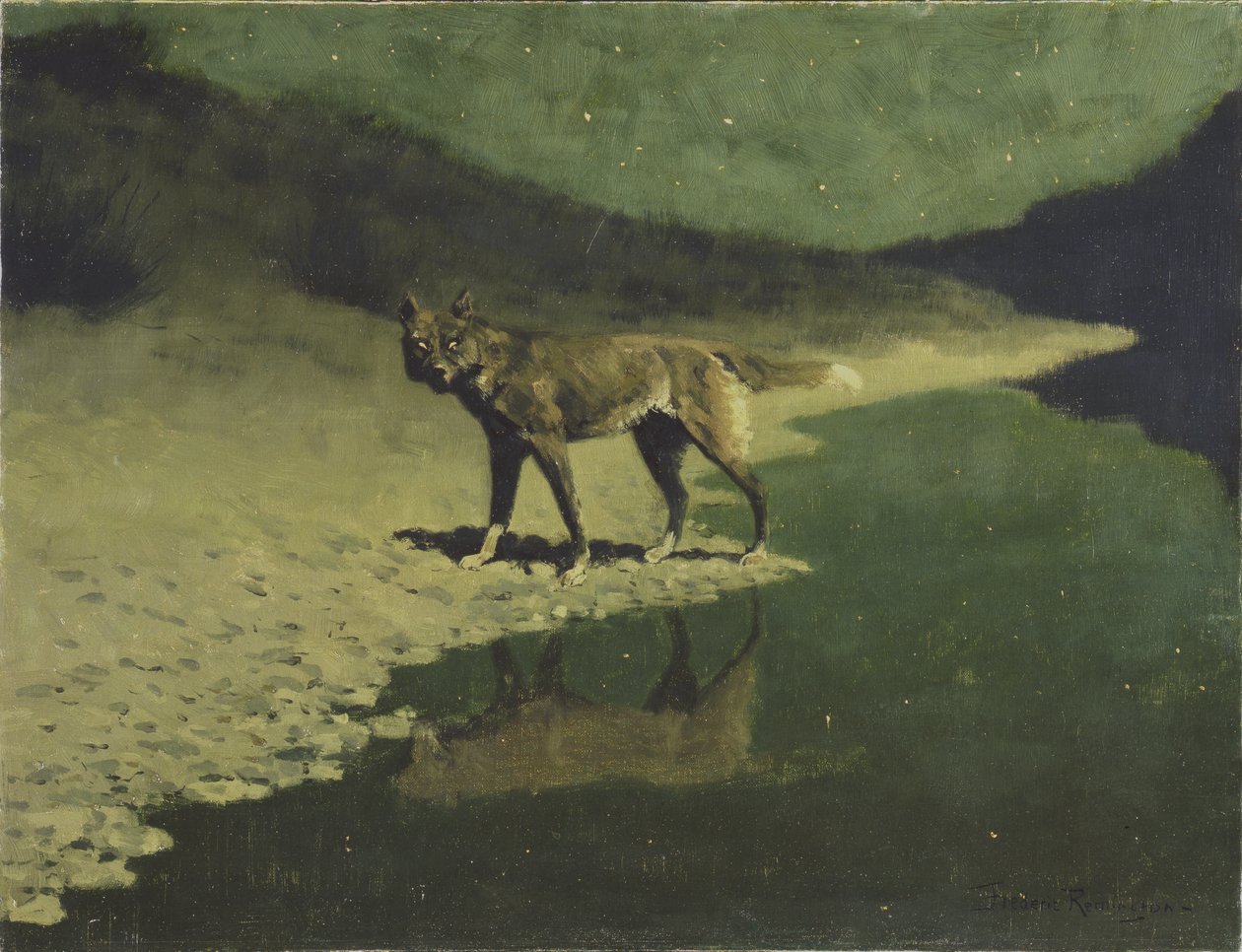 Måneskin, ulv, ca. 1904 af Frederic Remington