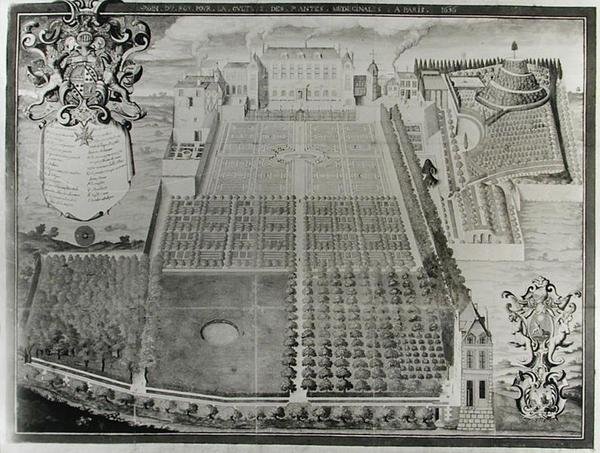 The Kings Medicinal Plant Garden, 1636 af Frederic Scalberge
