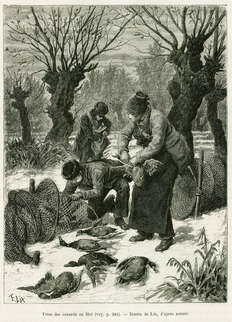 Fang ænder i nettet. Gravering af Lix, for at illustrere historien A Through Alsace and Lorraine, i 1887, af Charles Grad, tysk deputeret, i tour du monde 1888, instrueret af Edouard Charton (1807-1890), Hachette, Paris. af Frederic Theodore Lix