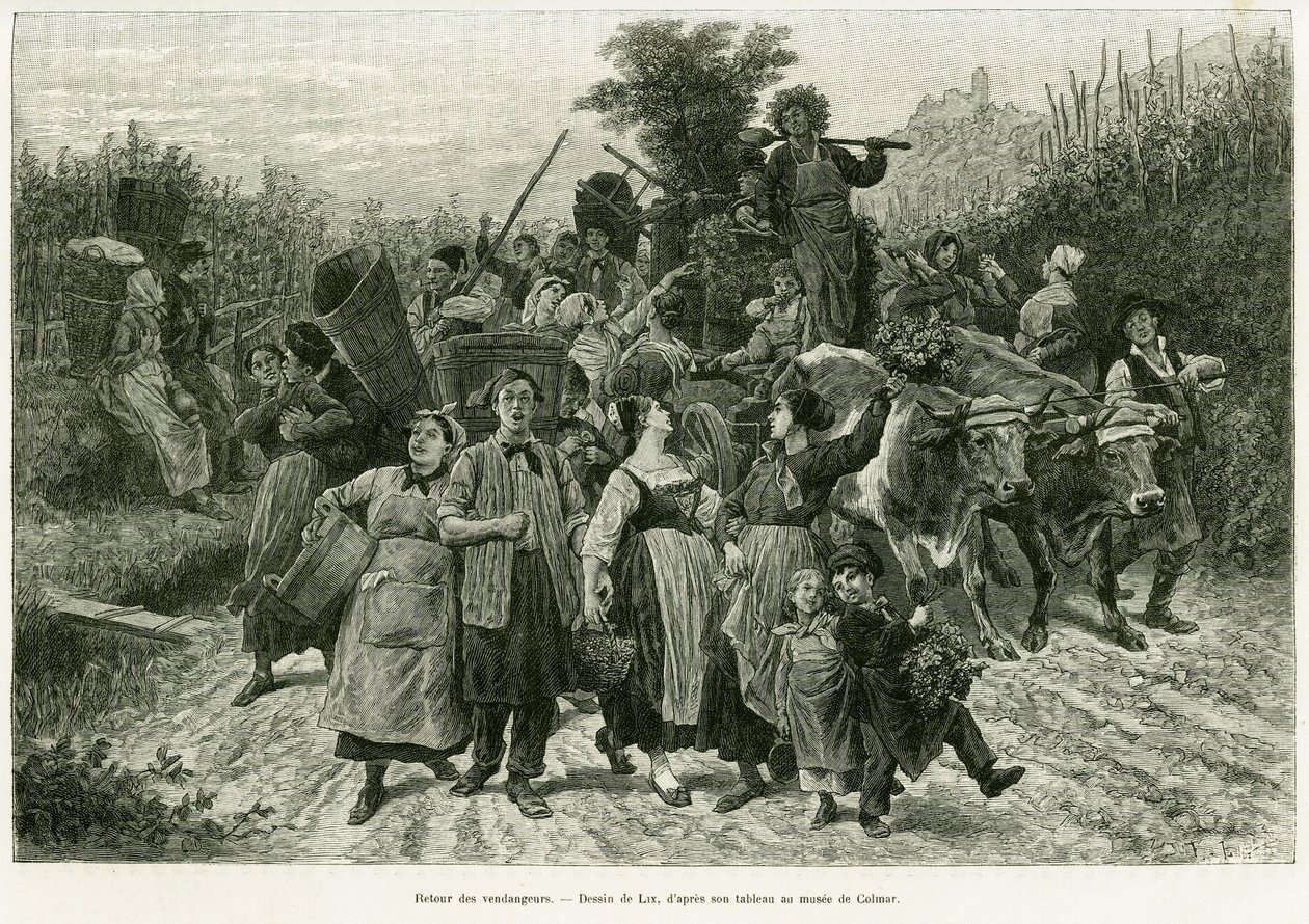Retur af høsten. Gravering af Lix, for at illustrere historien A Through Alsace and Lorraine, i 1887, af Charles Grad, tysk deputeret, i tour du monde 1888, instrueret af Edouard Charton (1807-1890), Hachette, Paris. af Frederic Theodore Lix