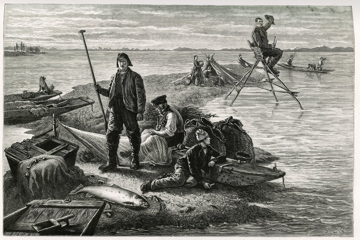 Laksefiskeri. Gravering af F.Lix, for at illustrere historien "Gennem Alsace og Lorraine", i 1884, af Charles Grad (1842-1890), tysk stedfortræder, forfatter og naturforsker. Udgivet i Le Tour du monde, nouveau journal des voyages, 2. semester 1885, redige af Frederic Theodore Lix