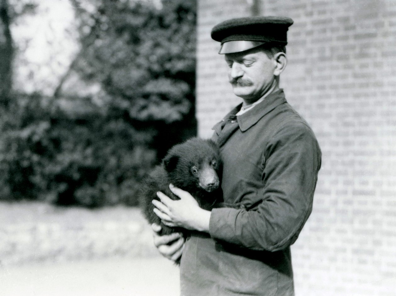 En Keeper holder en dovendyrbjørneunge i London Zoo, august 1921 af Frederick William Bond
