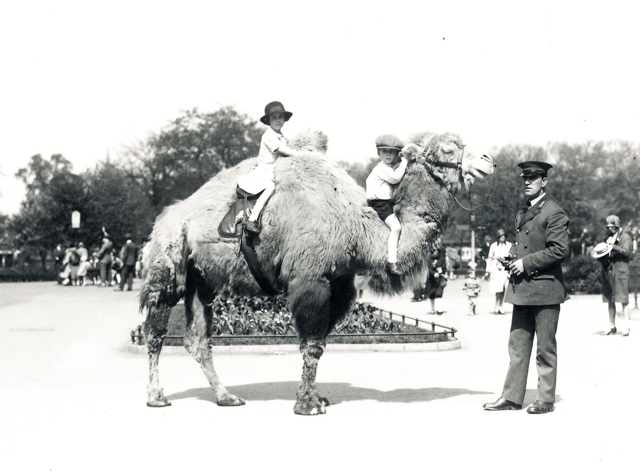 En kameltur i ZSL London Zoo, september 1928 af Frederick William Bond
