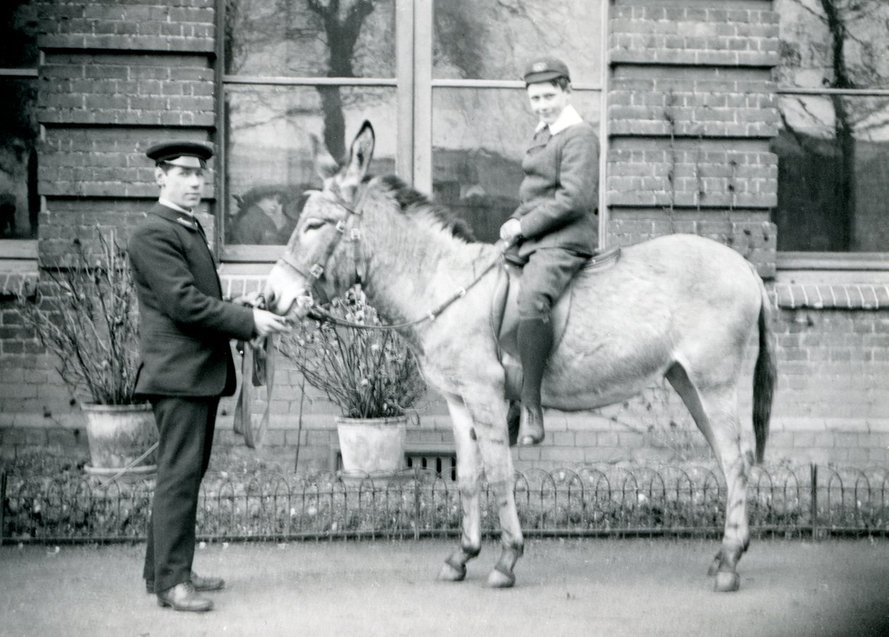 En keeper fører en røv, som bliver redet af en dreng, London Zoo, juni 1913 af Frederick William Bond