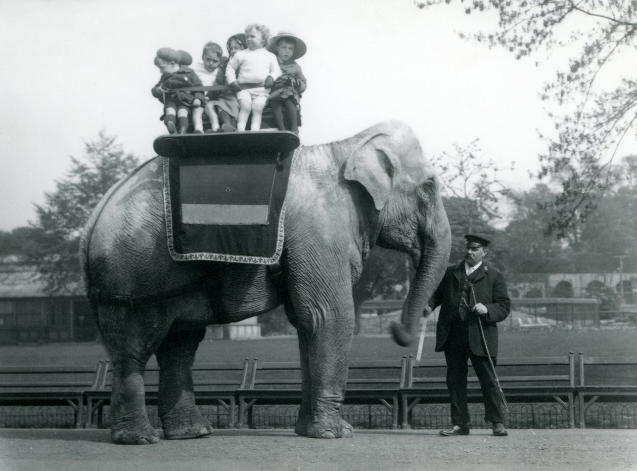En indisk elefant, med keeper, tager små børn med på en tur i London Zoo, ca. 1913 af Frederick William Bond