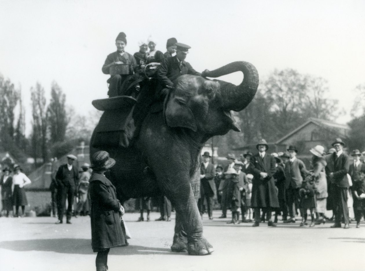Armenske besøgende rider på Indiarani, set af skarer af tilskuere, London Zoo, maj 1923 (bw foto) af Frederick William Bond