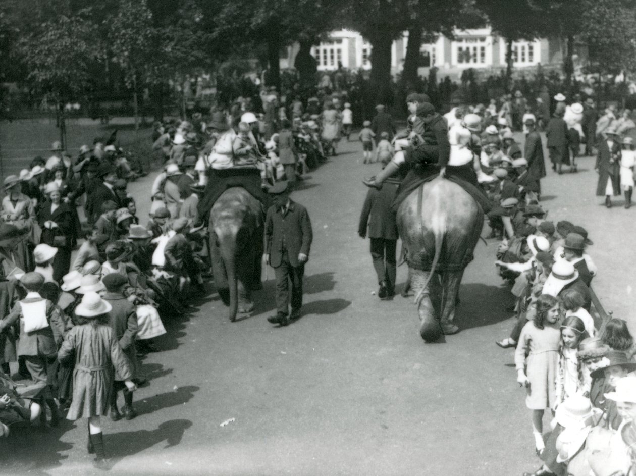 Asiatiske elefantrider med skarer af tilskuere i London Zoo, 1922 (bw foto) af Frederick William Bond
