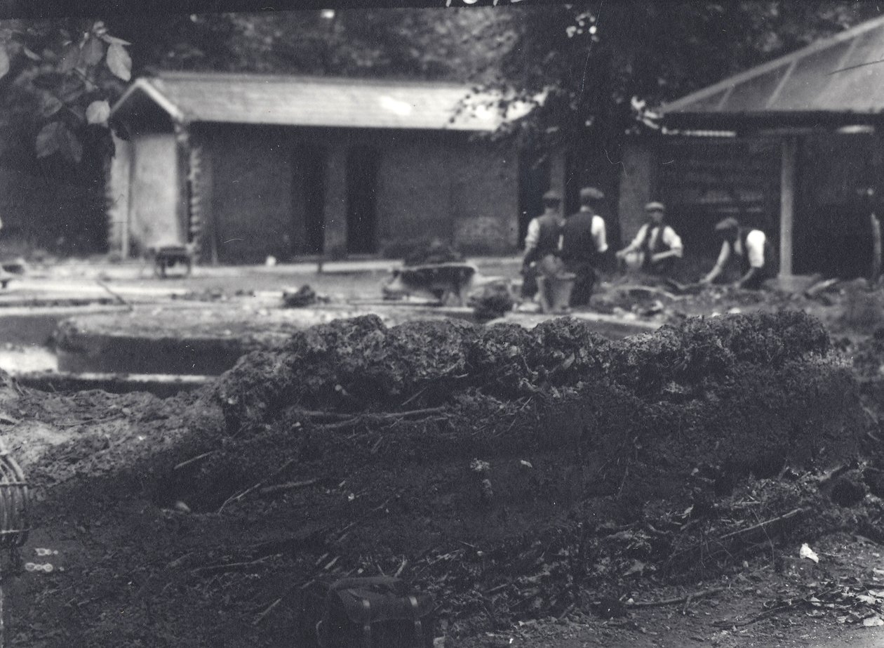Beaver lodge med vogtere i baggrunden, London Zoo, juli 1916 af Frederick William Bond