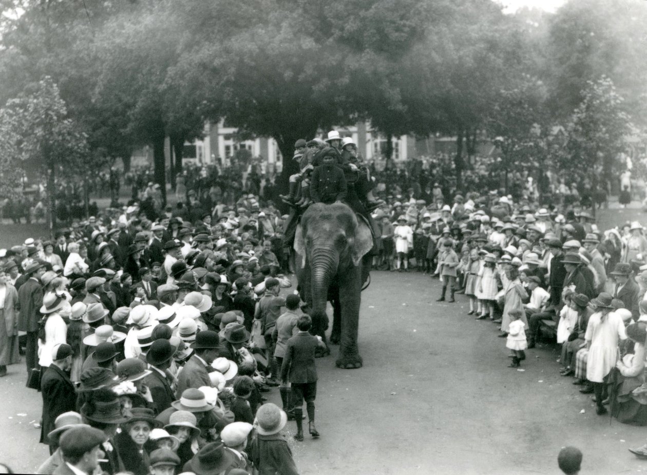 Masser af besøgende ser på en elefanttur i London Zoo, helligdag i august 1922 af Frederick William Bond
