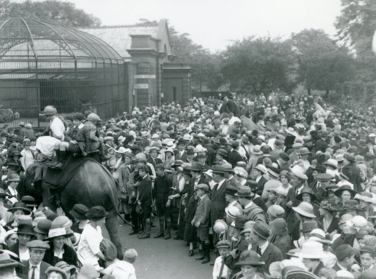 Masser af besøgende ser på en elefanttur i London Zoo, augustferien, 1922 af Frederick William Bond