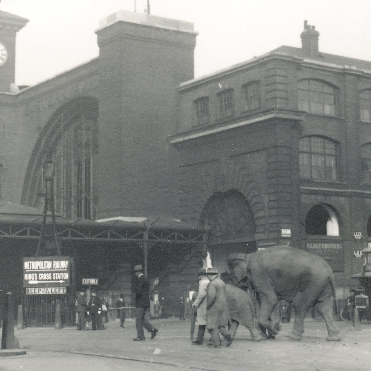 Elefanter går fra havnen forbi Kings Cross station på vej til ZSL London Zoo, september 1927 af Frederick William Bond