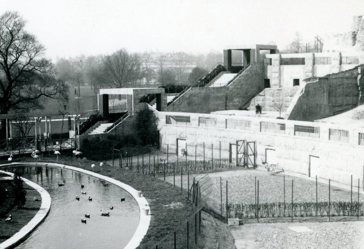 Indhegninger foran Mappin Terraces, London Zoo, 1922 af Frederick William Bond