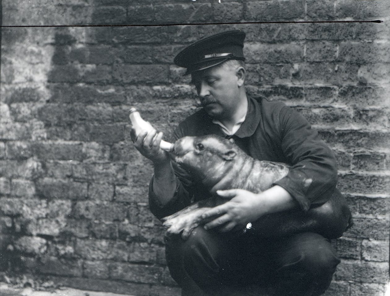 Ernie Bowman, ca. 1926-27 af Frederick William Bond