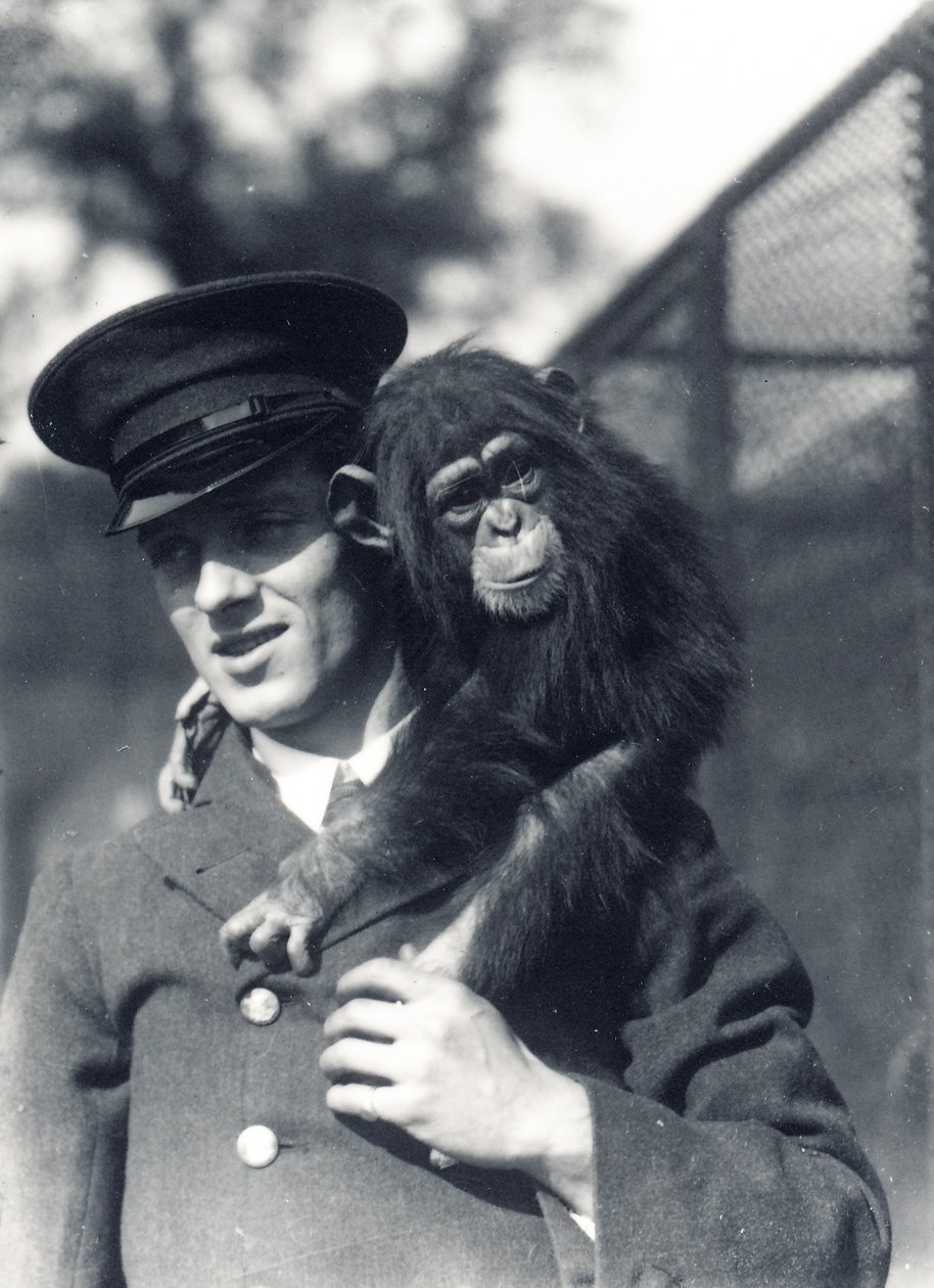 Keeper F. Shelly med chimpansen Johnnie eller Marco i ZSL London Zoo af Frederick William Bond