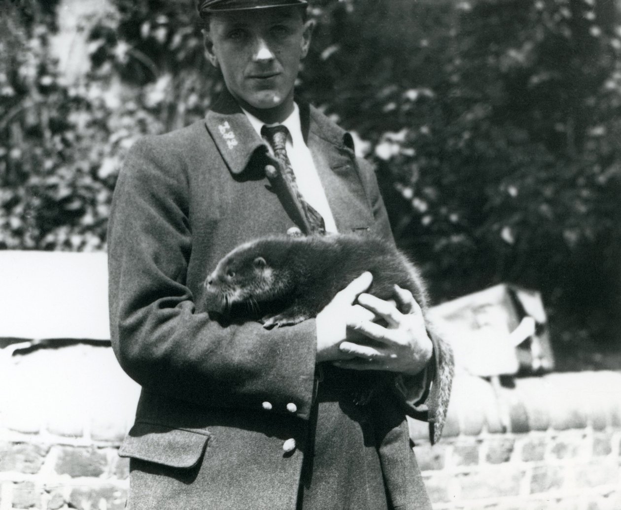 Dyrepasseren Leslie Martin Flewin vugger en odderunge i sine arme i London Zoo, juni 1922 af Frederick William Bond