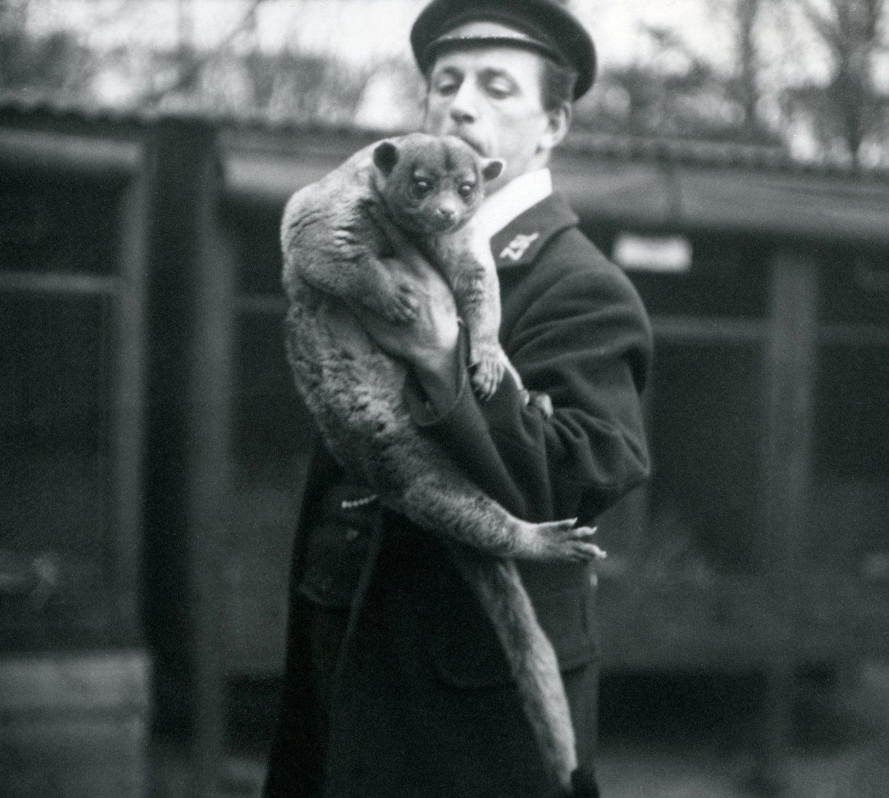 Keeper, Leslie Martin Flewin, holder en Kinkajou i London Zoo, februar 1913 af Frederick William Bond