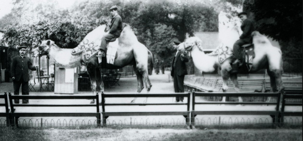 Ridende kameler pyntet til fejringen af fredsdagen den 19. juli 1919 af Frederick William Bond