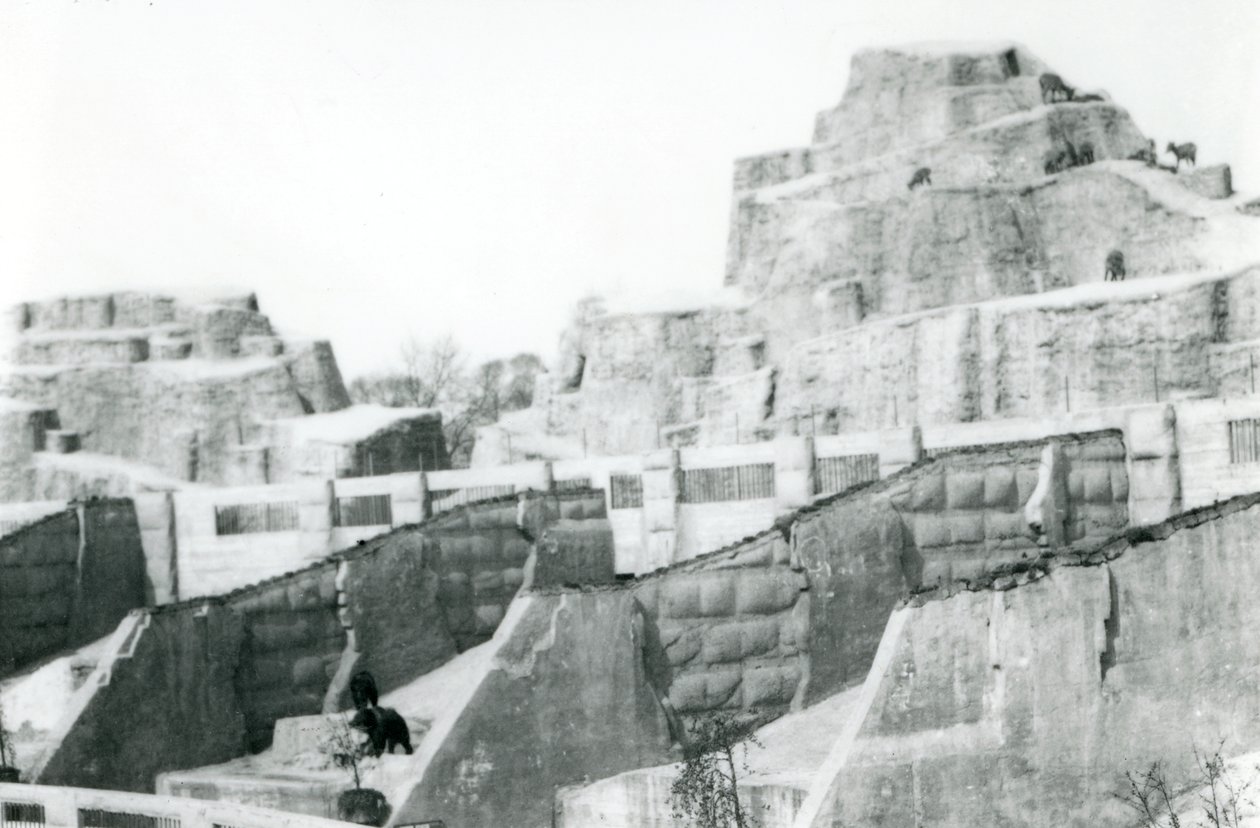 The Mappin Terraces, London Zoo, 1922 af Frederick William Bond