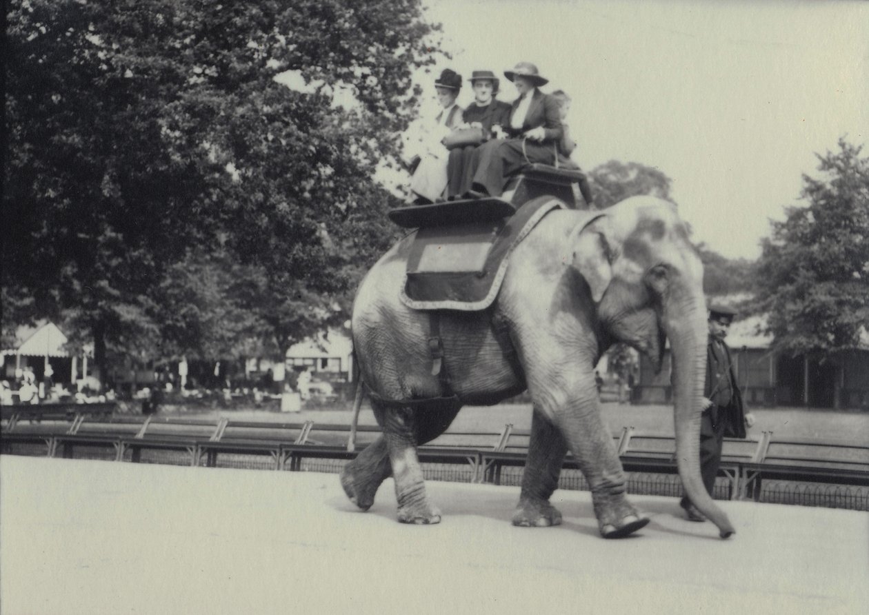 Tre damer får en tur på en asiatisk elefant, ledet af en målmand, i London Zoo, maj 1914 af Frederick William Bond