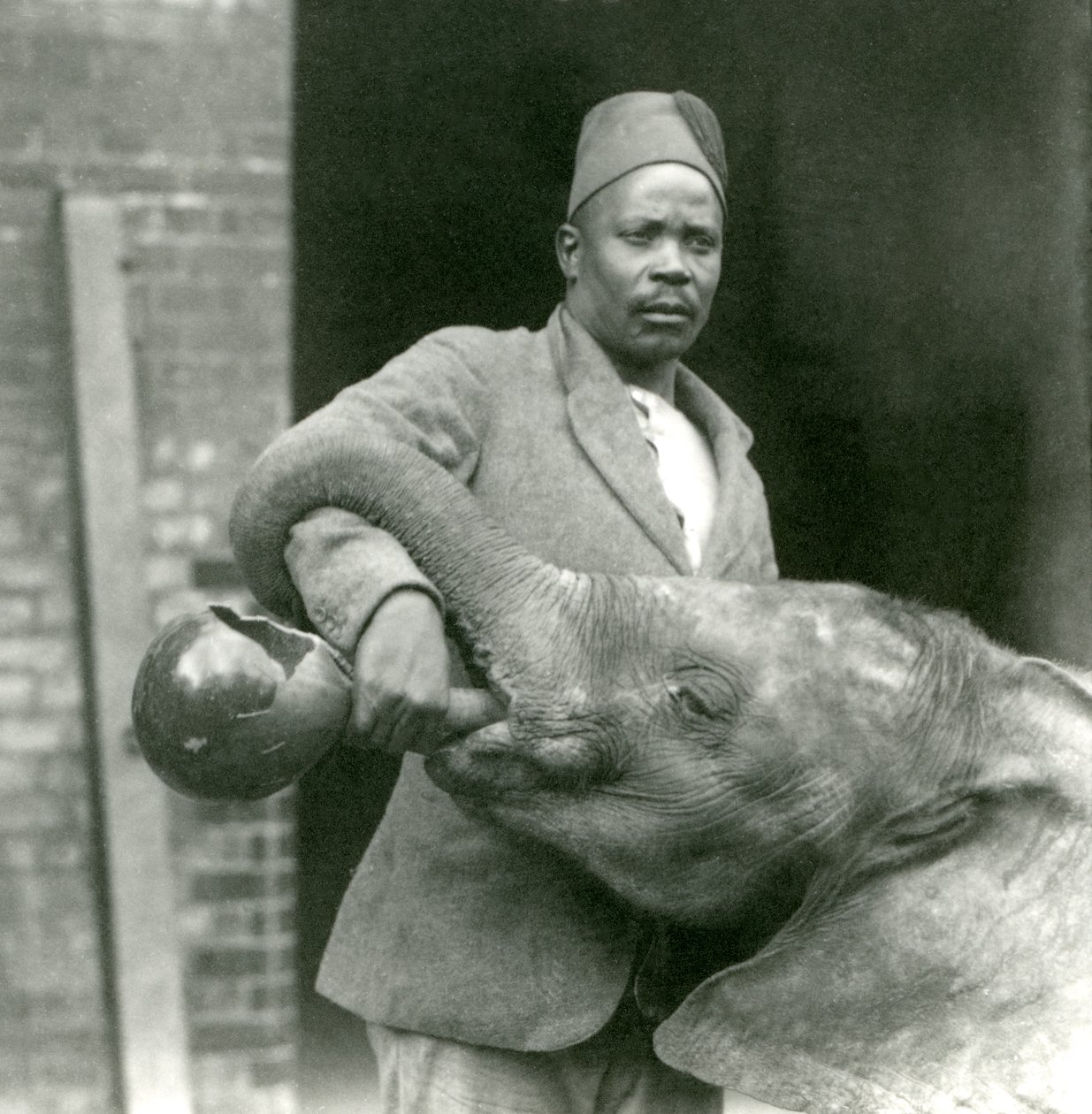 Den unge afrikanske elefant Kiberenge får en drink af Darisha, London Zoo, september 1923 (bw foto) af Frederick William Bond