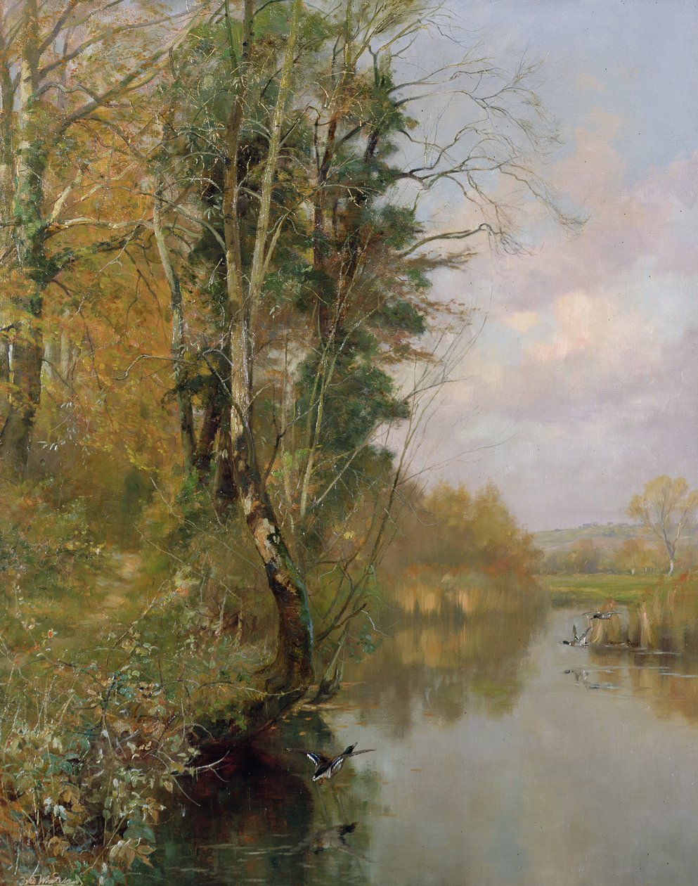 The River Frome, Morton nr Dorchester, 1901 af Frederick William Newton Whitehead