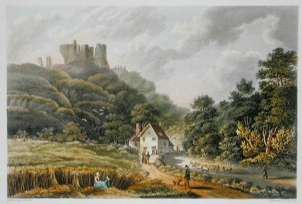 Carisbrook, fra 