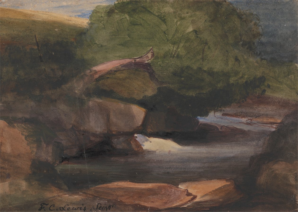 Træer og en stenet strøm af Frederick Christian Lewis the Elder