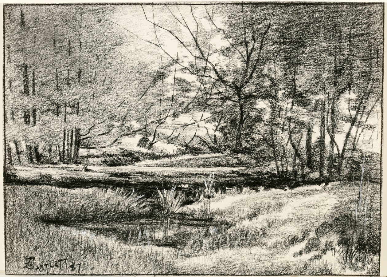 Pool i Adirondacks af Frederick Eugene Bartlett