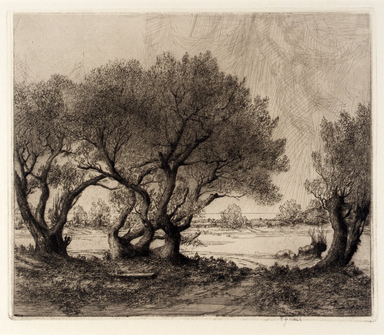 Gamle piletræer af Frederick G. Hall