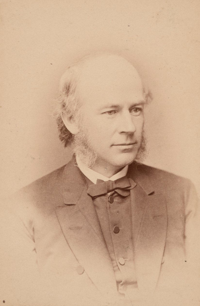 Portræt af William Cassady Cattell 1827-1898, 1876. af Frederick Gutekunst