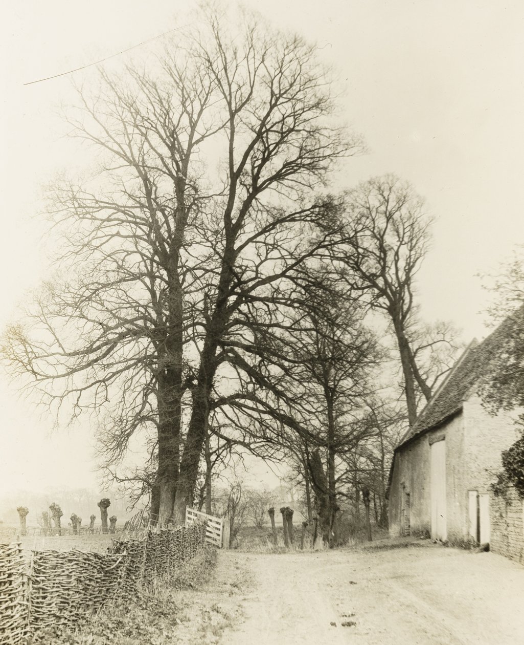 Kelmscott Manor: Vej og indgang af Frederick H. Evans