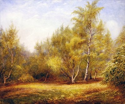 Epping Forest nær Buckhurst Hill (akvarel på papir) af Frederick Henry Evans