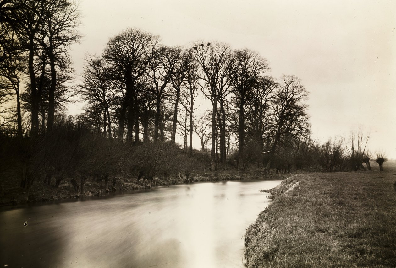 Kelmscott Manot: Themsen nær herregården, 1896. af Frederick Henry Evans