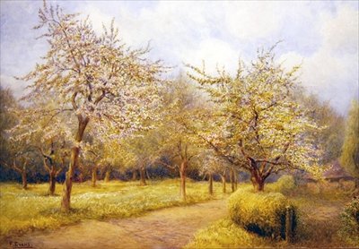 Træer i blomst (akvarel på papir) af Frederick Henry Evans