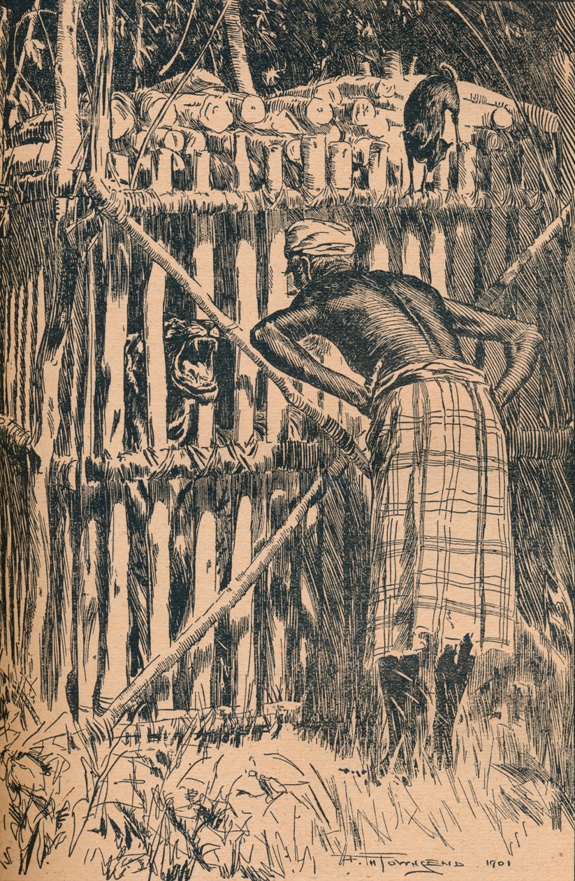 Illustration til Skeats-fabler og folkeeventyr fra en østlig skov, 1901 af Frederick Henry Townsend
