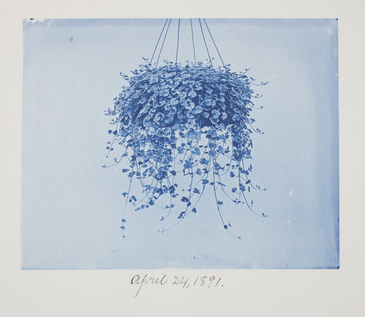 Uden titel, 24. april af Frederick K. Coulson
