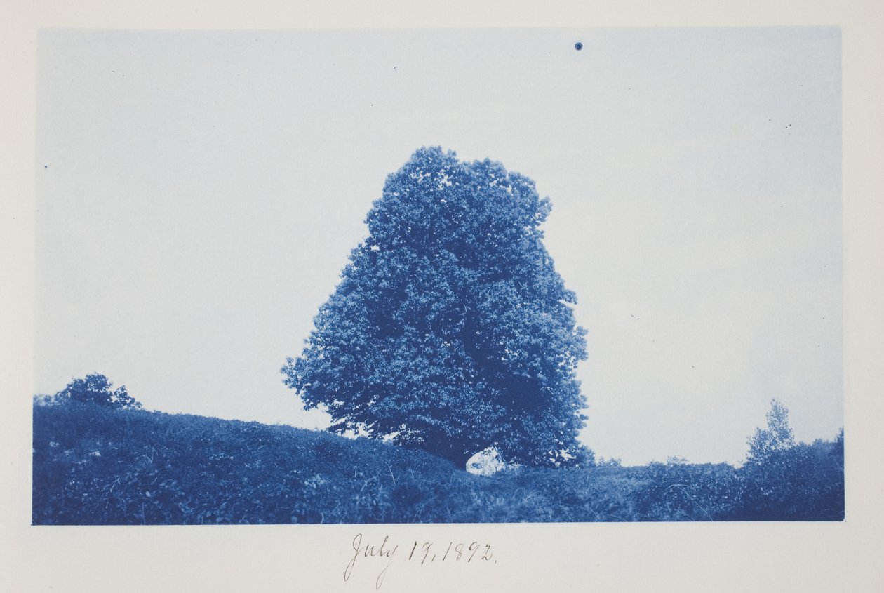 Uden titel, 19. juli af Frederick K. Coulson