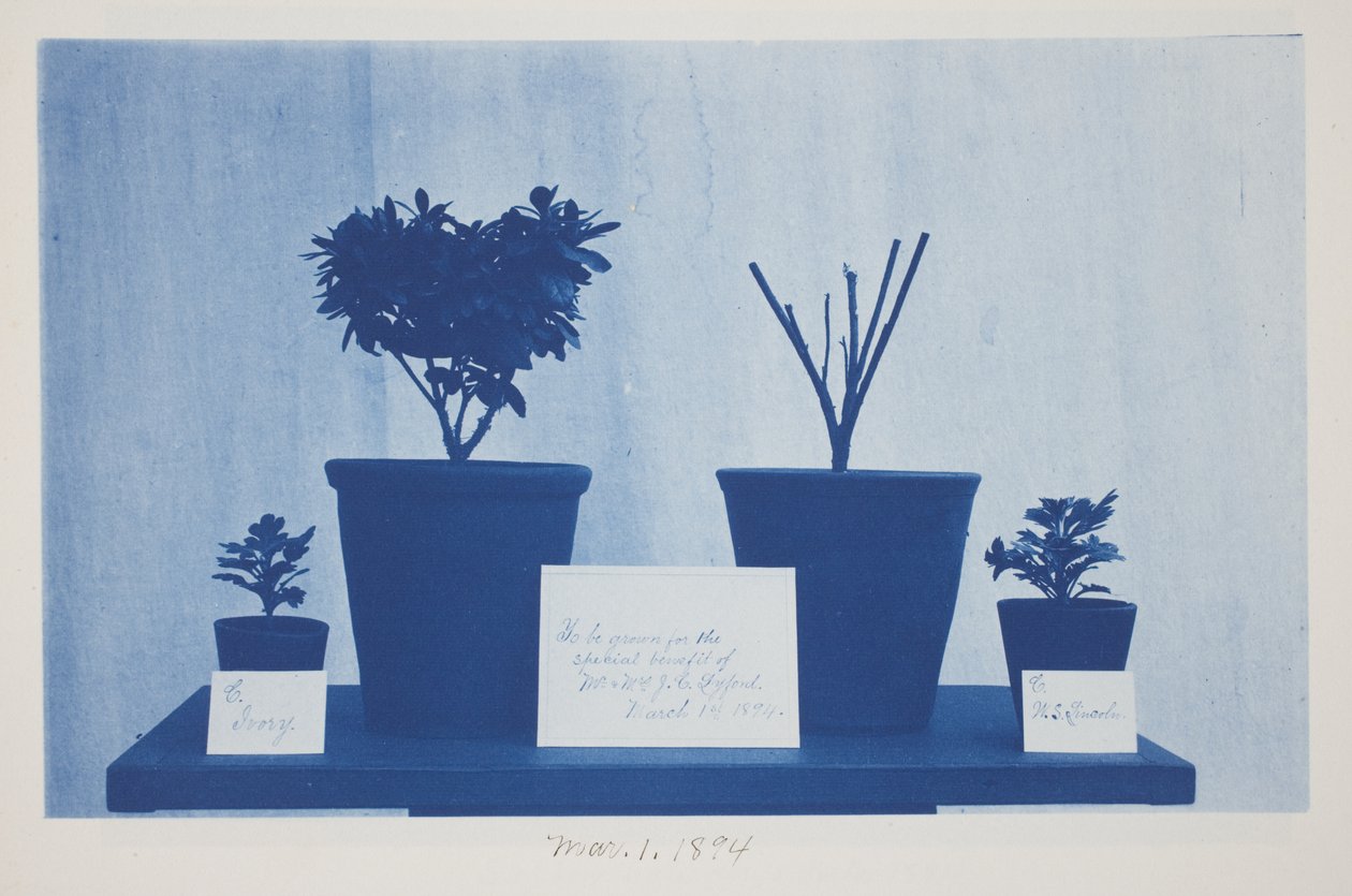 Uden titel, 1. marts af Frederick K. Coulson