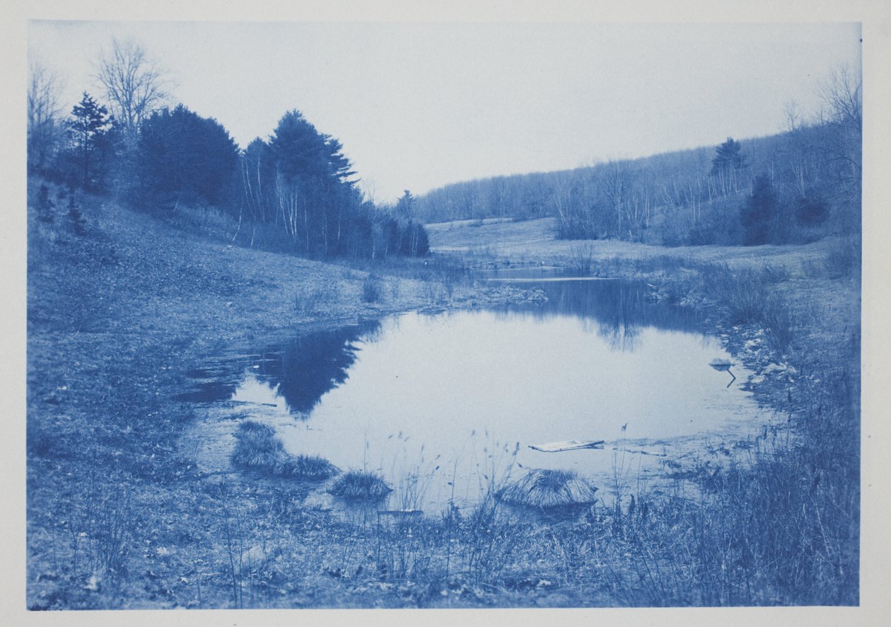 Uden titel, slutningen af det 19.-begyndelsen af det 20. århundrede (cyanotype på cremevævet papir) af Frederick K. Coulson