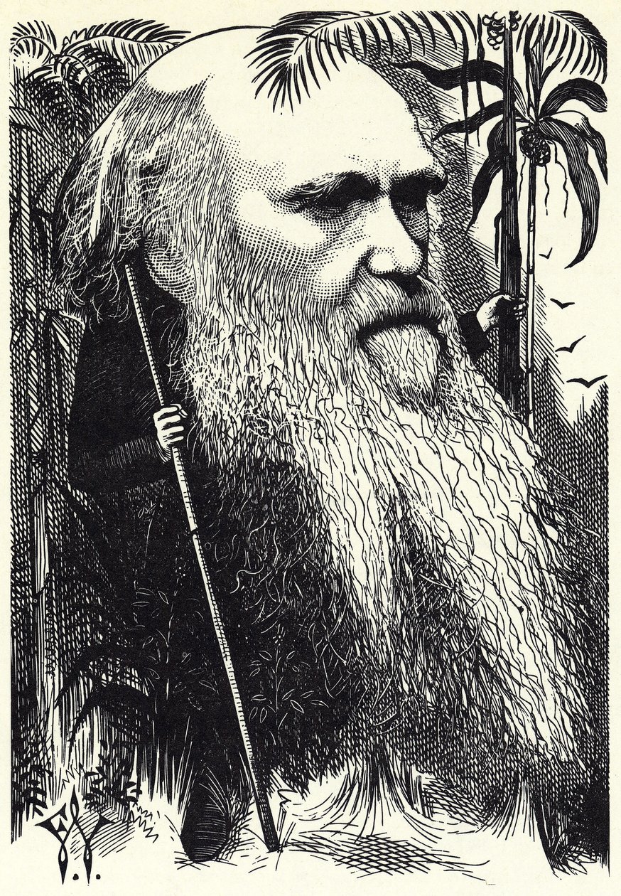 Charles DARWIN af Frederick Waddy