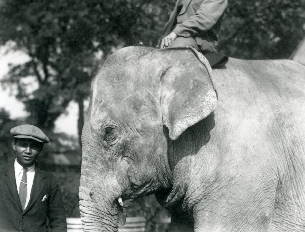 En burmesisk elefant med sin træner og en anden mand, London Zoo, september 1926 af Frederick William Bond