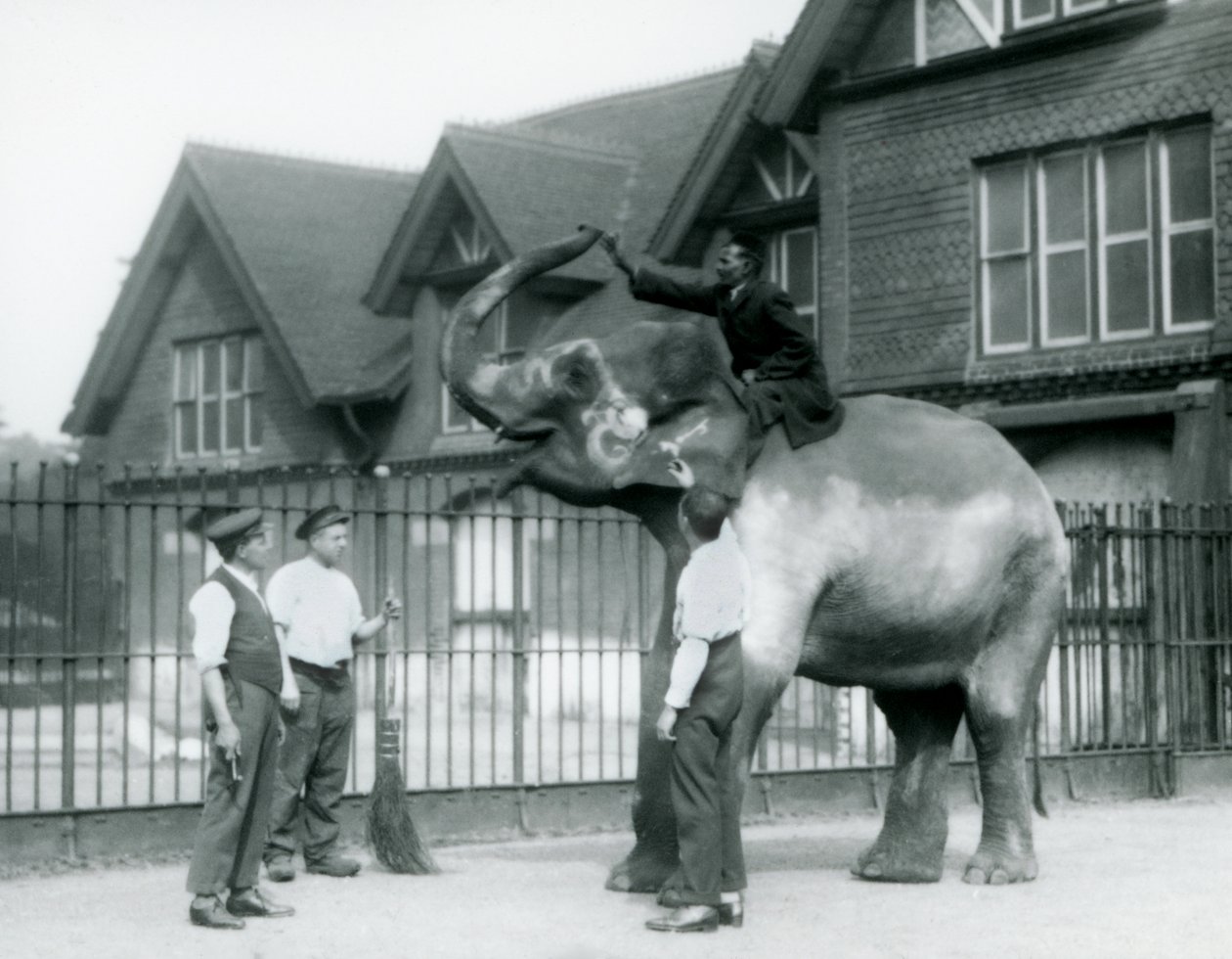 En dekoreret indisk elefant med tre vogtere og træner uden for Elephant House i London Zoo i 1927 af Frederick William Bond