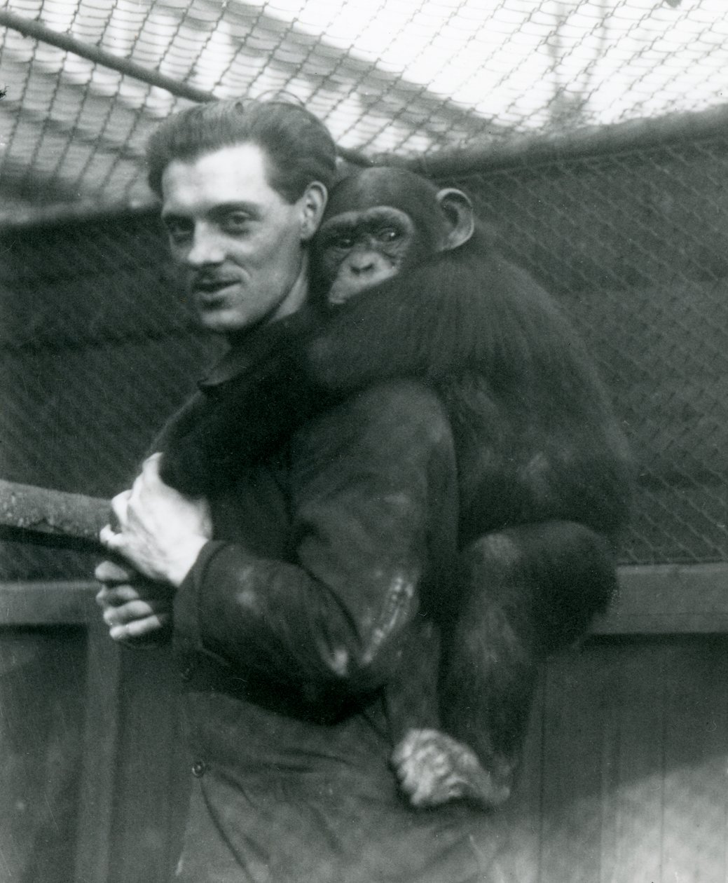 En mand bærer chimpansen Sally på ryggen, London Zoo, 1924 af Frederick William Bond