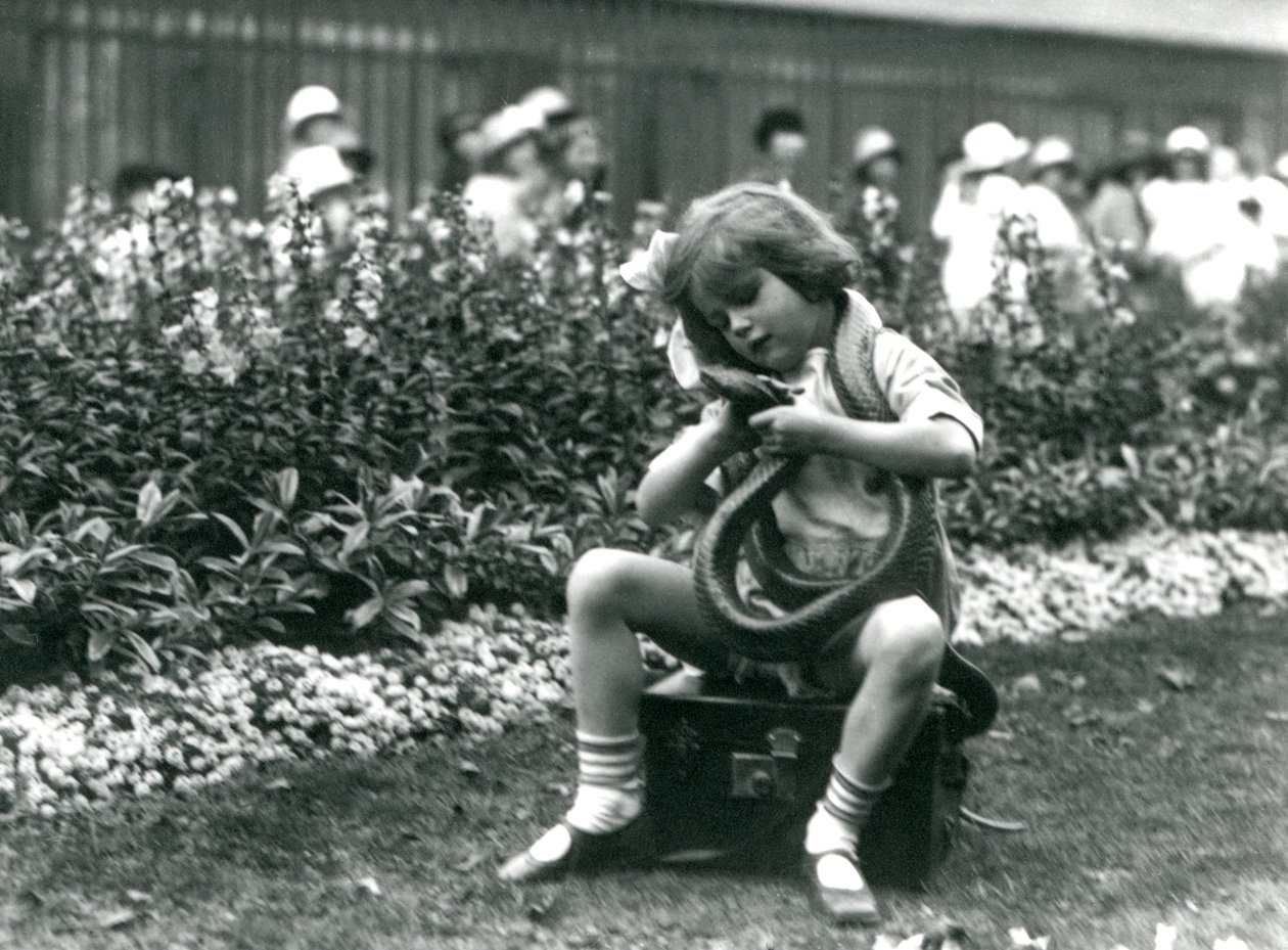 En ung pige Betty, der holder en Eastern Indigo Snake, mens hun sidder på en læderkuffert, London Zoo, 1924 af Frederick William Bond