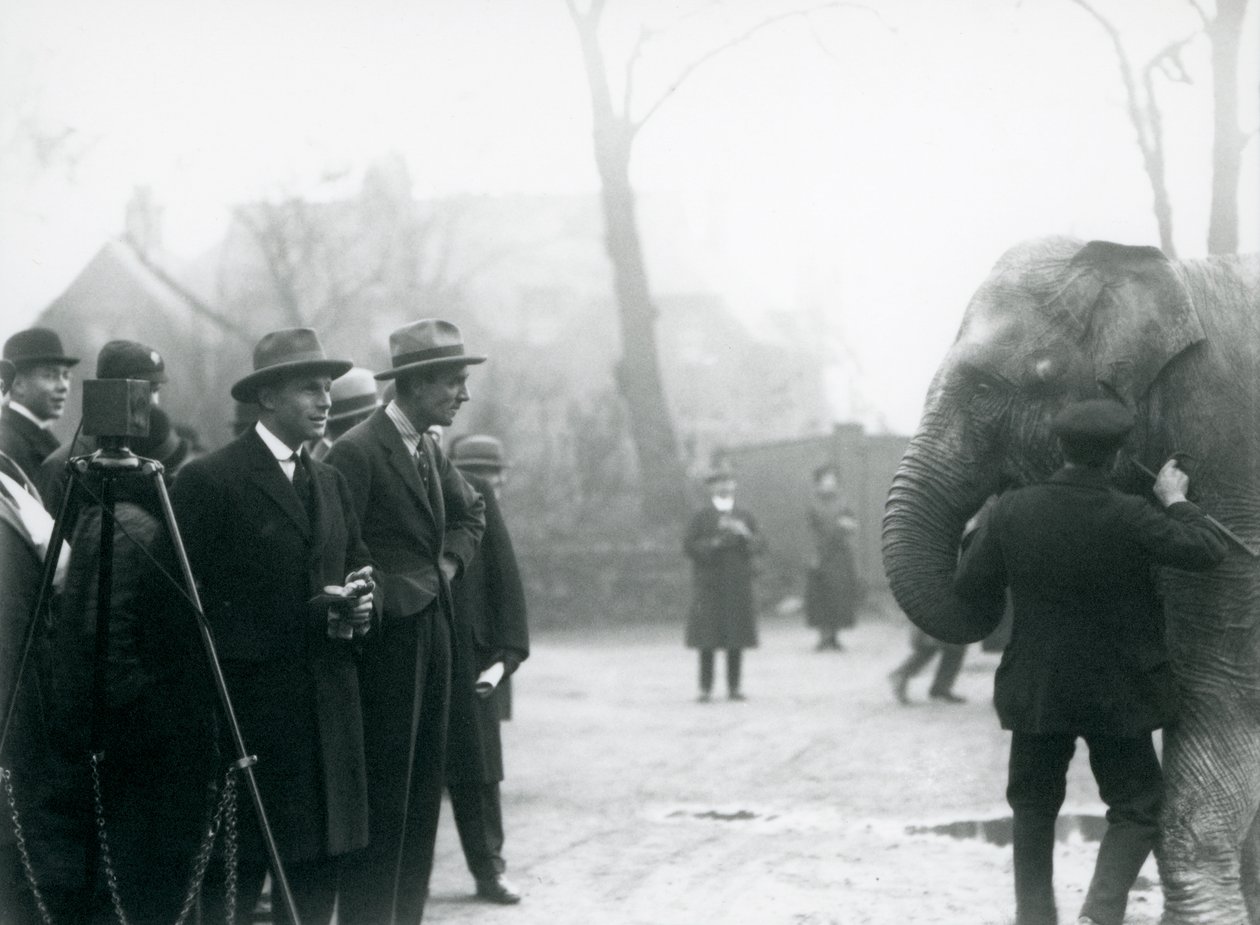 En indisk elefant, muligvis Sundermalah, der deltager i en ekstern udsendelse fra London Zoo, 1925 af Frederick William Bond