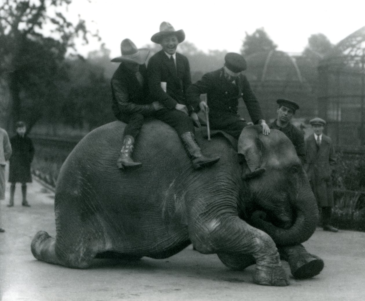 Cowboys og træner med hun indiske elefant Sundermalah under et besøg i London Zoo i 1924 af Frederick William Bond