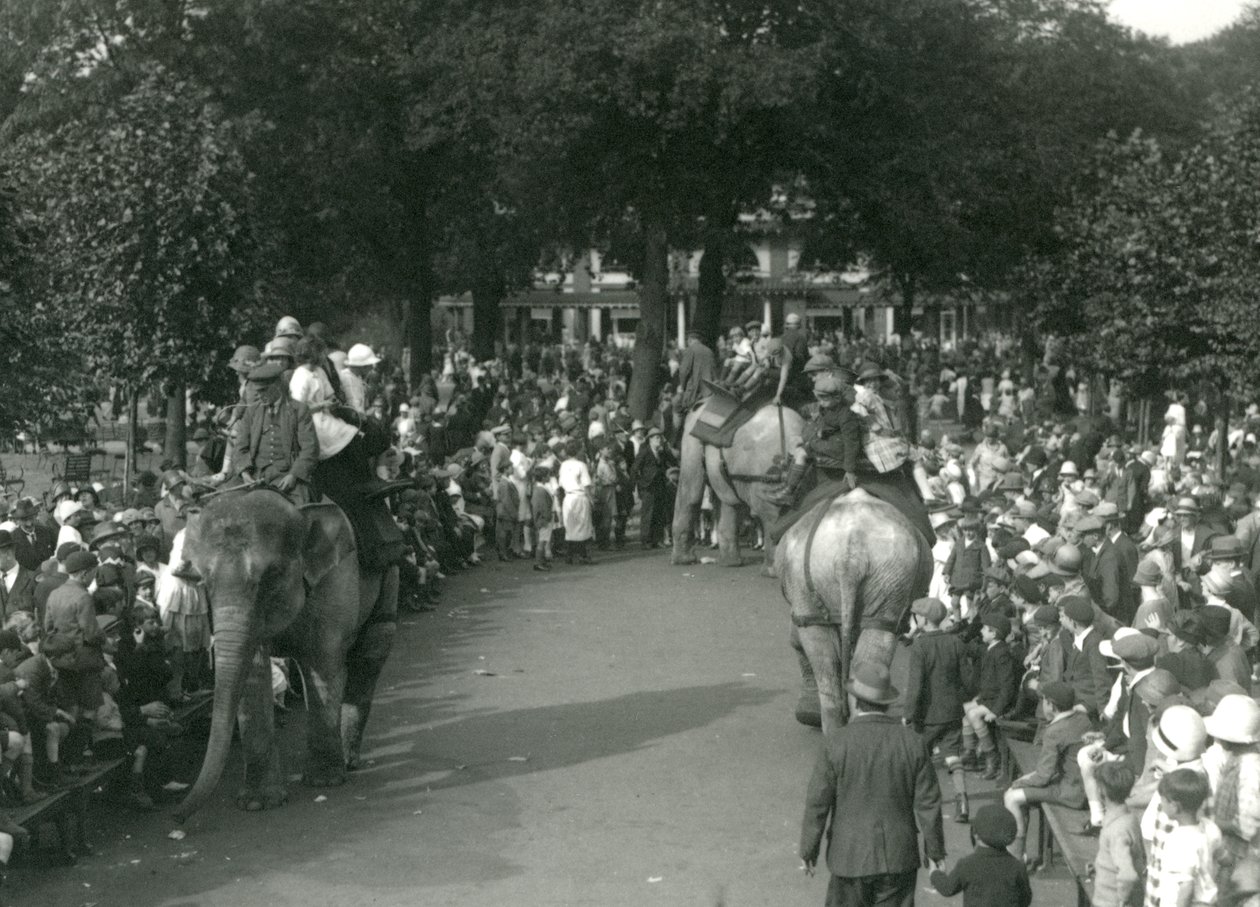 Elephant Rides, med tre asiatiske elefanter set af skarer af tilskuere i London Zoo i august 1926 (s/h foto) af Frederick William Bond