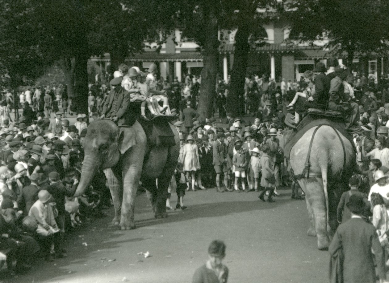 Elephant Rides, med to asiatiske elefanter set af skarer af tilskuere i London Zoo i august 1926 (s/h foto) af Frederick William Bond